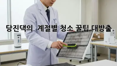 🏡 당진댁의 ✨ 계절별 청소 꿀팁 대방출! 🧽